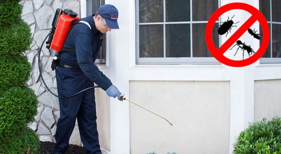 Denizli Gümüşkurt İlaçlama böcek ilaçlama ve haşere kontrolü — ilaclama-tr.com